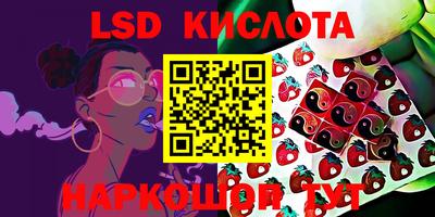 твердый Лесосибирск