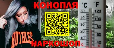 твердый Лесосибирск